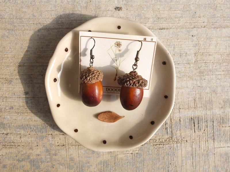 内蒙古橡果耳环(单) - 耳环/耳夹 - 其他材质 咖啡色