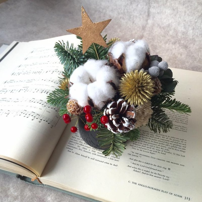 Dream of christmas  诺贝松圣诞盆花 - 干燥花/捧花 - 植物．花 白色