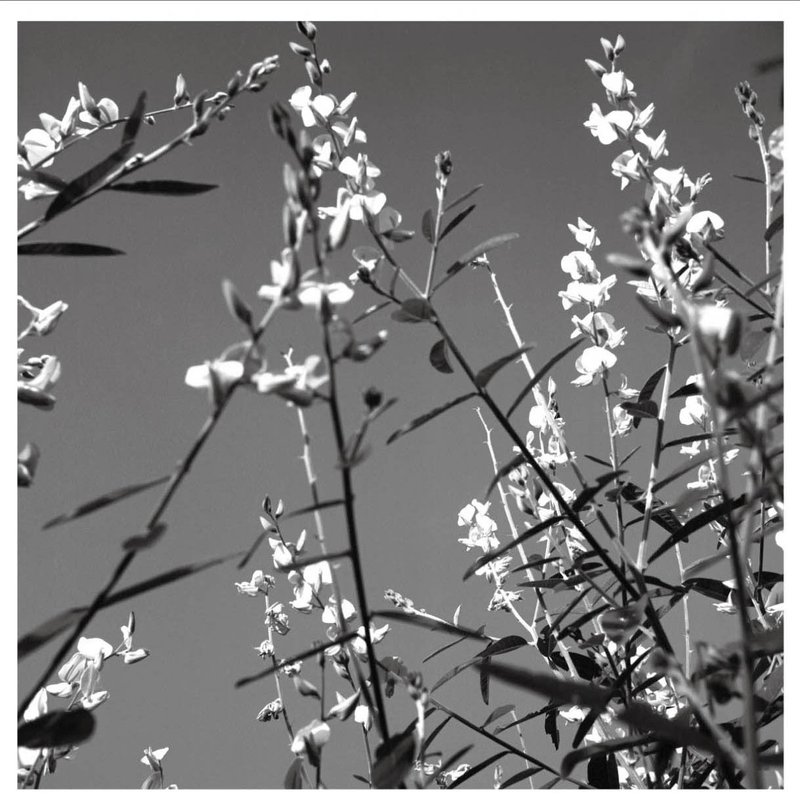 马芊伶的摄影作品-无题-单张(明信片 / 画卡 / 收藏品) - 摄影集 - 纸 白色