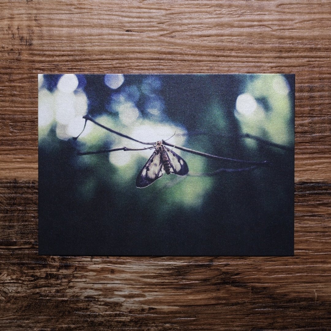【照片明信片 #08】Photo Postcard | TH1RT3ENDREAMS - 摄影集 - 纸 多色