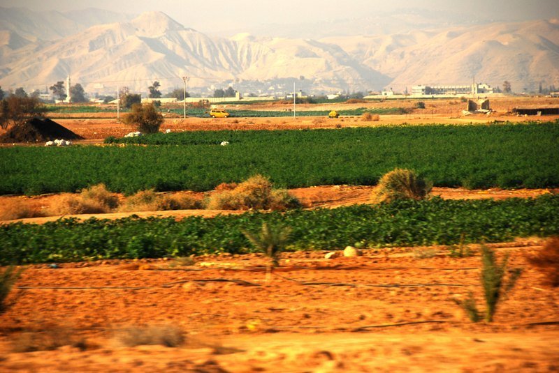 Abundant life丰盛。生命--无框画 - 摆饰 - 木头 金色