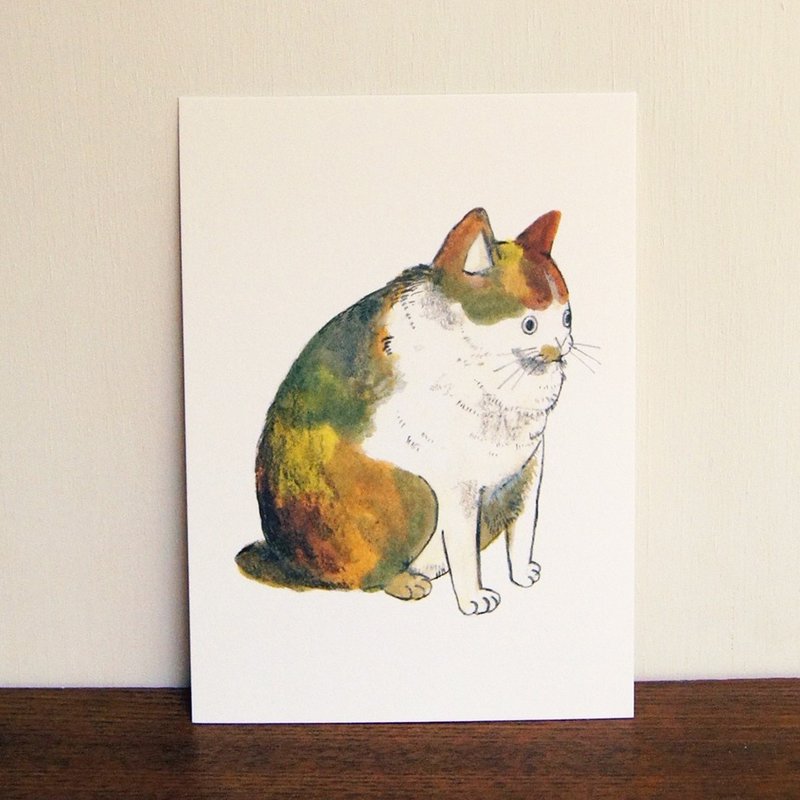 动物明信片 彩色猫咪 - 卡片/明信片 - 纸 多色