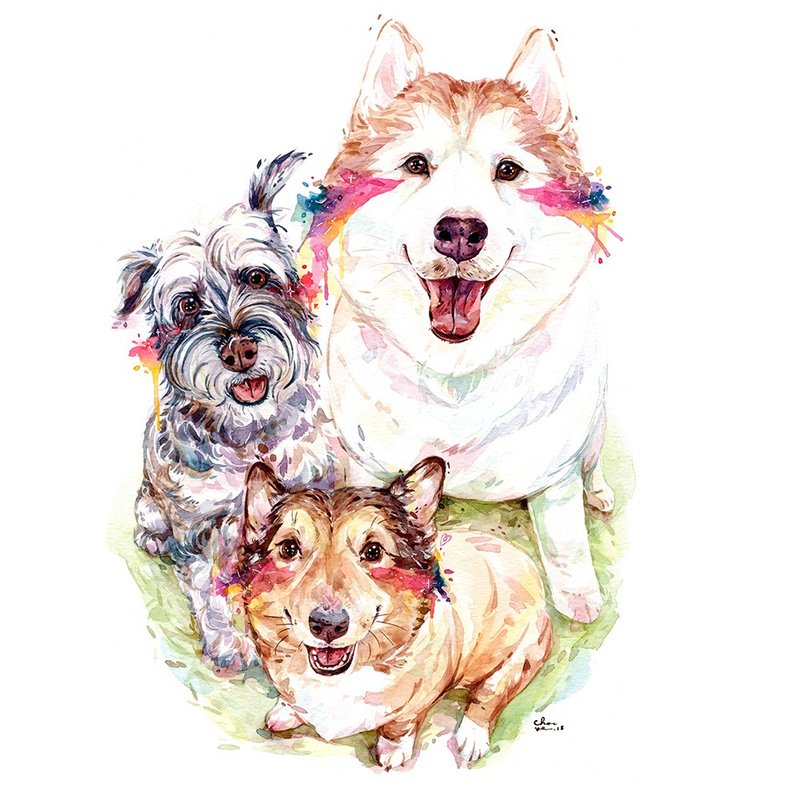 Pet Portrait 宠物肖像画 / 21x30cm (8x12寸) / 三只一张 - 其他 - 纸 多色