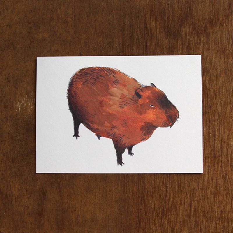 动物明信片 水豚 - 卡片/明信片 - 纸 咖啡色