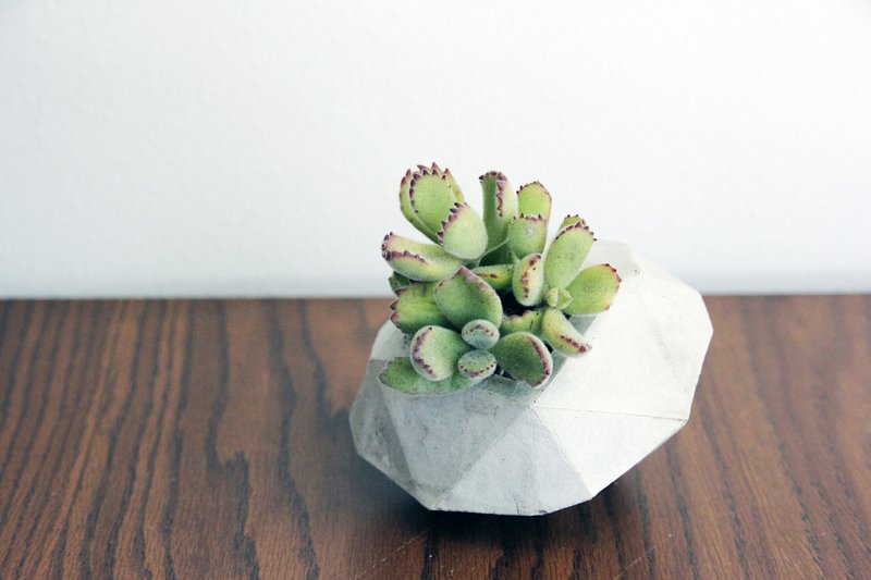 斜钻石 | 水泥几何盆器 花器 - 植栽/盆栽 - 水泥 灰色