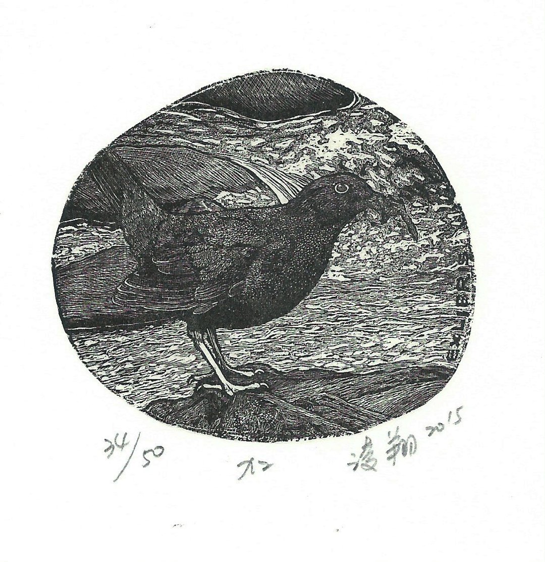 版画藏书票-河乌-张淩翔 - 海报/装饰画/版画 - 纸 黑色