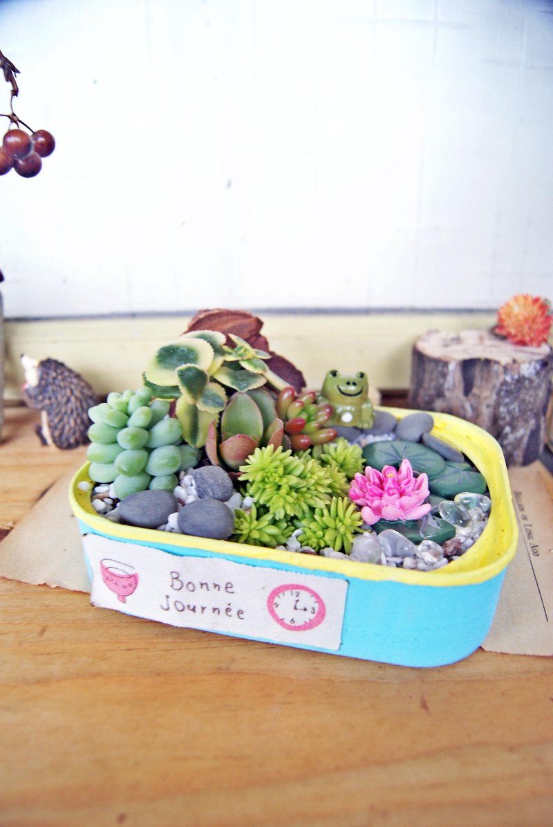 我家有小小农场X创意环保方型罐头植栽(青娃组) - 植栽/盆栽 - 植物．花 