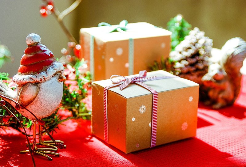 圣诞礼物 薰衣草种子球植栽组 - 植栽/盆栽 - 植物．花 红色