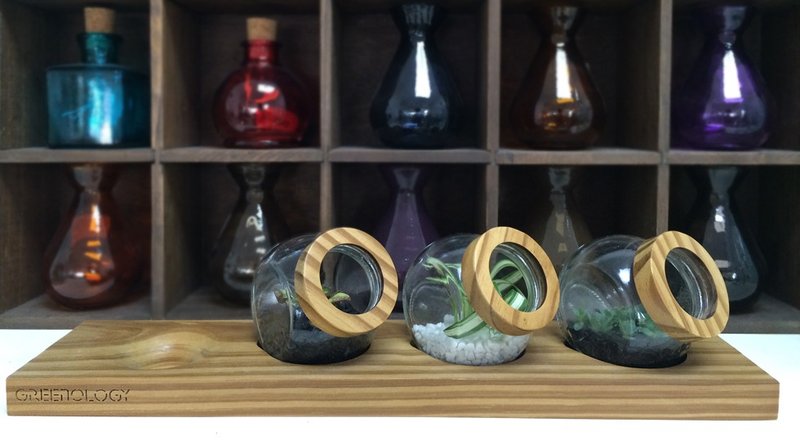 Greenology 木盖玻璃瓶配木底座 - 植栽/盆栽 - 木头 咖啡色