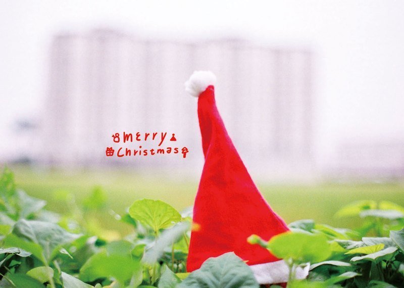 圣诞节限定 Postcard / 红帽子 - 卡片/明信片 - 纸 红色