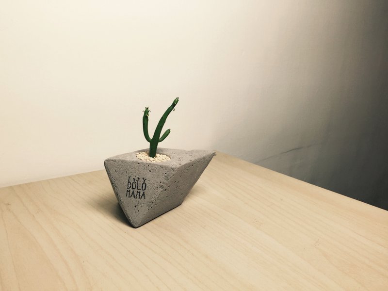  角头 珊瑚大戟-多肉植物 水泥盆栽 - 植栽/盆栽 - 水泥 灰色