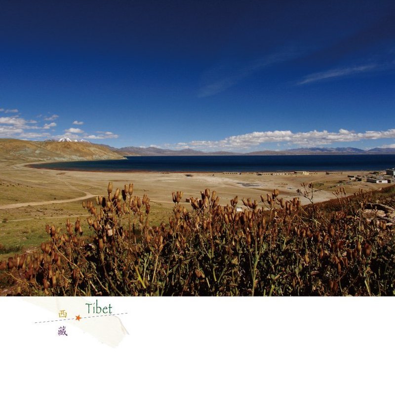 西藏旅行摄影明信片 - 卡片/明信片 - 纸 