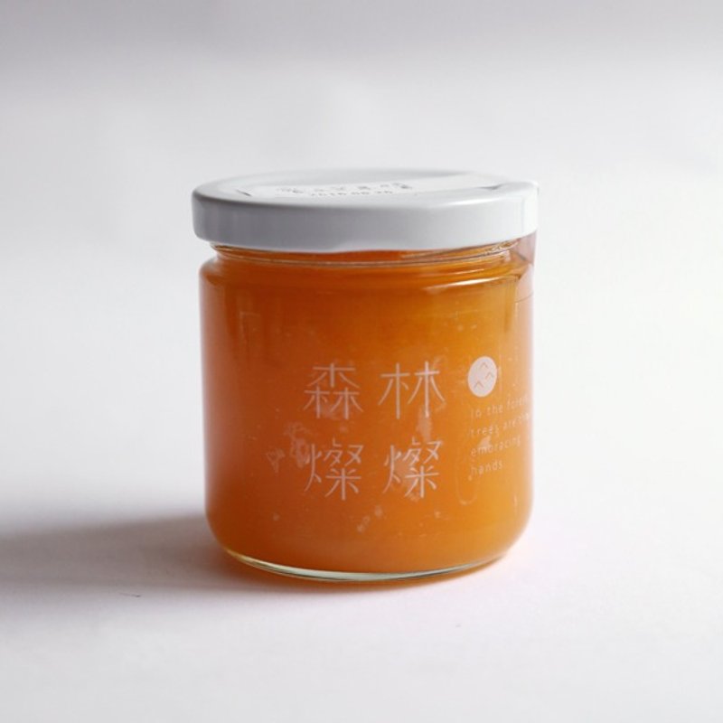 爱文芒果酱 - 果酱/抹酱 - 新鲜食材 橘色