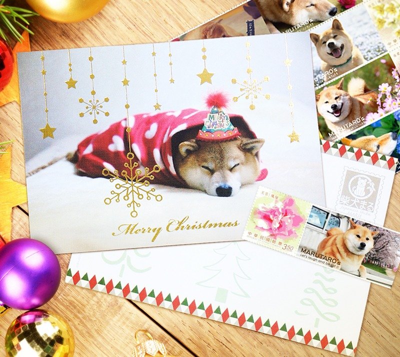 柴犬MARU - 耶诞明信片 MERRY MARU XMAS - 卡片/明信片 - 纸 