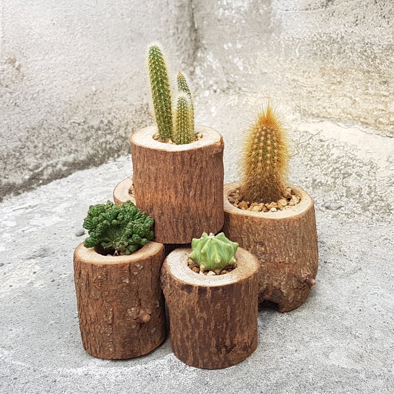 天然仿旧木头罐 - 花瓶/陶器 - 木头 橘色