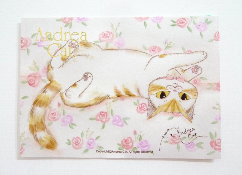 Andrea Cat-富丽街的猫成猫明信片-帕菲四脚朝天 - 卡片/明信片 - 纸 多色