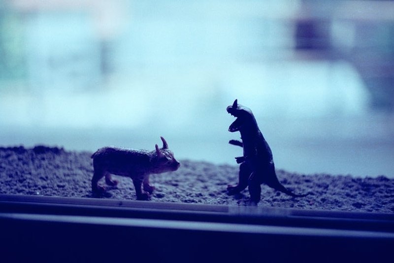 摄影 万用 明信片 - Light系列 - 恐龙 - 卡片/明信片 - 纸 蓝色