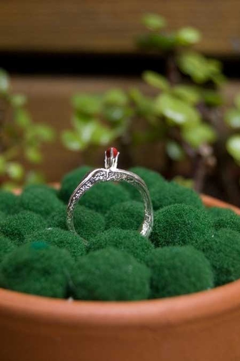 RebiRtH Of Ring。又生·指戒。 - 戒指 - 其他金属 