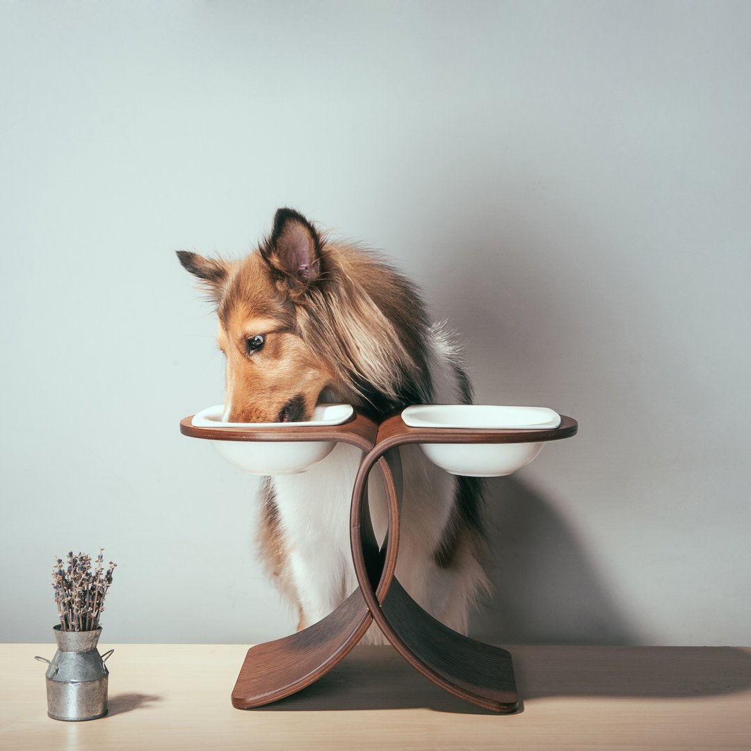 中型犬猫碗架 Link - 碗/碗架 - 木头 咖啡色