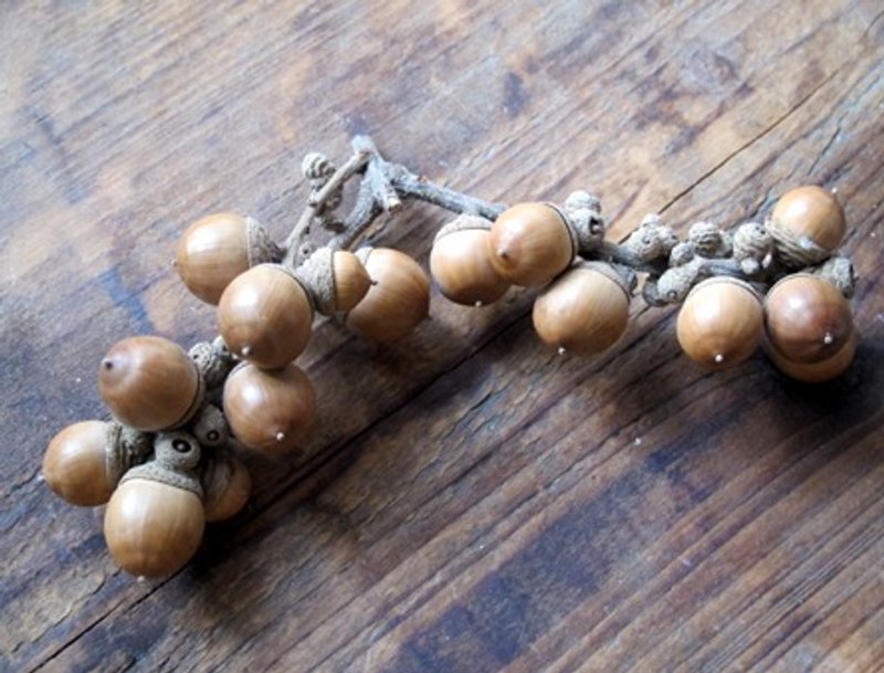 Polovoi 纯手作˙材料包˙秋天的自然橡树果子/果实/Zakka天然素材(XL) - 植栽 - 植物．花 橘色