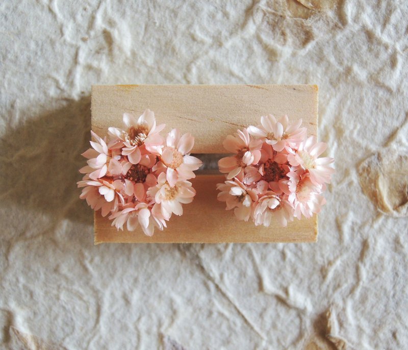 微甜·圈 手作 花耳环 季节限定 不凋花 粉红 繁星花 干燥花 耳环 夹式款式 婚礼 道具 - 耳环/耳夹 - 植物．花 粉红色