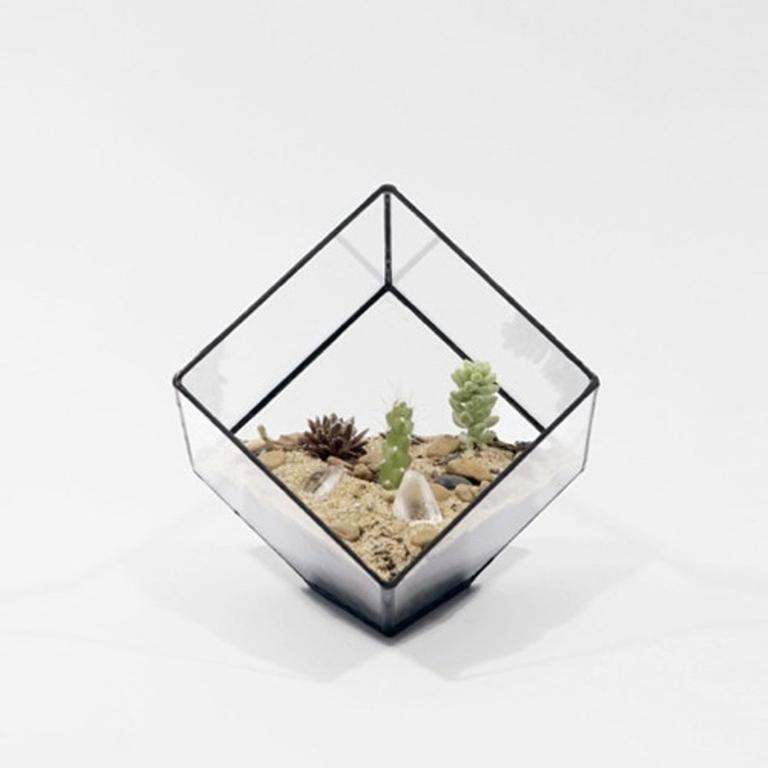 Cube 花器 | Score+Solder - 植栽/盆栽 - 玻璃 黑色