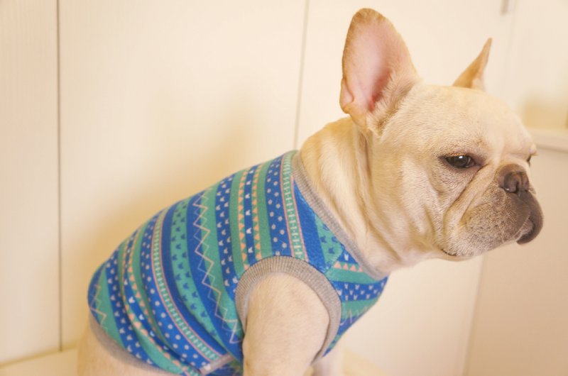 (售完)宠物衣-几何法斗背心-蓝绿色M - 衣/帽 - 其他材质 蓝色