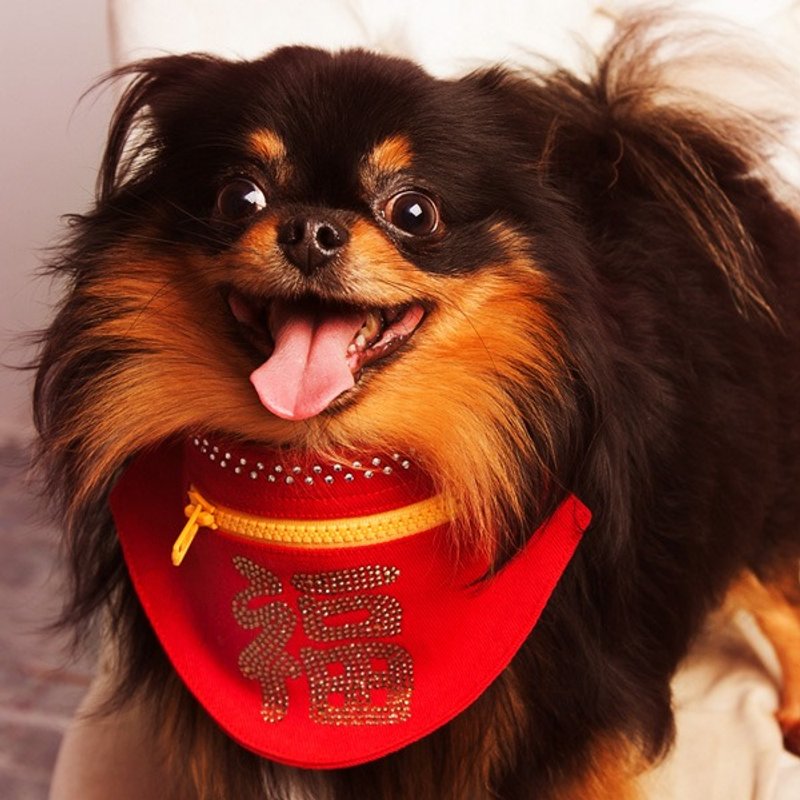 【GFSD】水钻精品-宠物领巾红包收纳袋-招财／纳福／钱满 - 其他 - 其他材质 红色