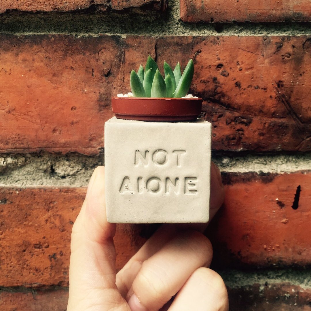 NOT ALONE~(你并不孤单)磁铁多肉盆栽 - 植栽/盆栽 - 水泥 灰色