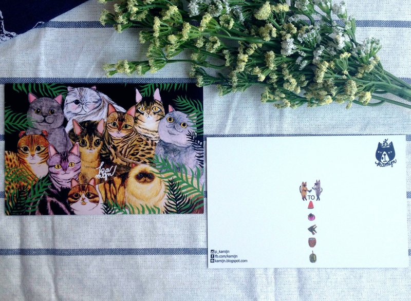 猫猫明信片 - 卡片/明信片 - 纸 多色