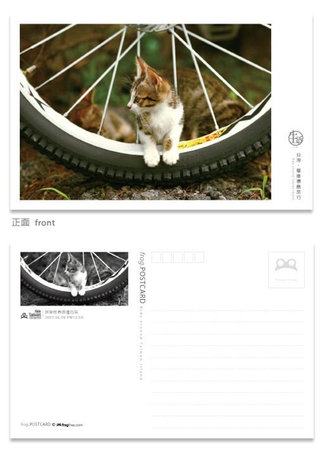 台湾·单车环岛旅行明信片  单车生活系列 - 屏东恒春路边的喵 - 卡片/明信片 - 纸 