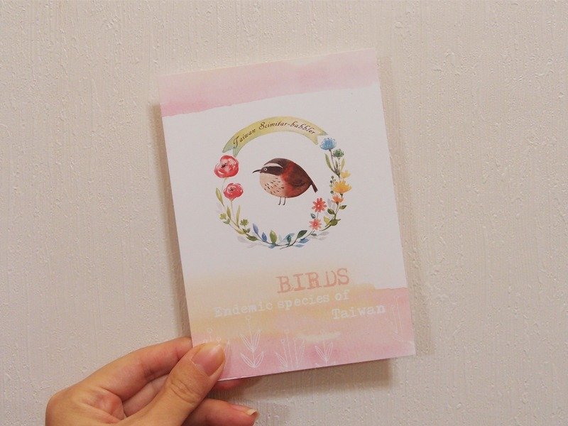 台湾特有种-小弯嘴画眉 / 明信片 - 卡片/明信片 - 纸 