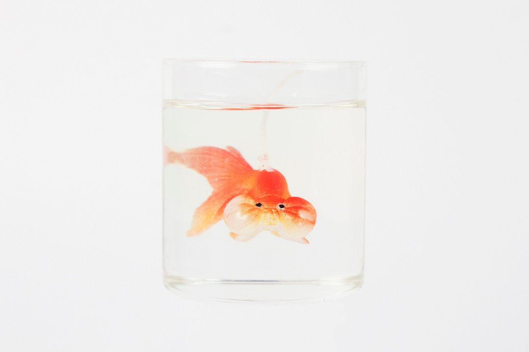 橘色水泡眼金鱼罐装香氛蜡烛 - 蜡烛/烛台 - 蜡 橘色