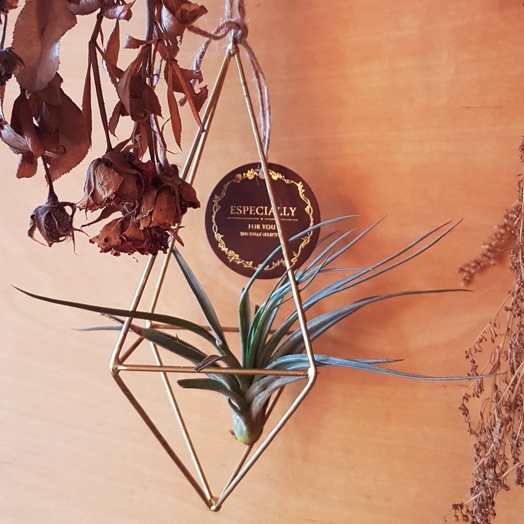 金属几何空凤吊饰【Geometrical and metal hanging pot】 - 其他 - 其他材质 黄色