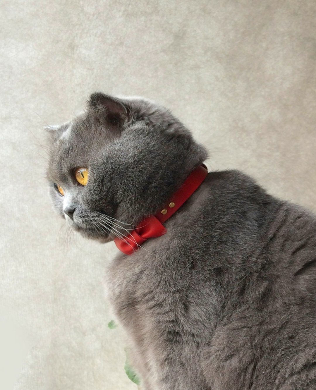 Zemoneni 全手作色 红色 宠物项圈 配饰 猫猫狗狗 领结 猫圈圈 - 项圈/牵绳 - 真皮 红色