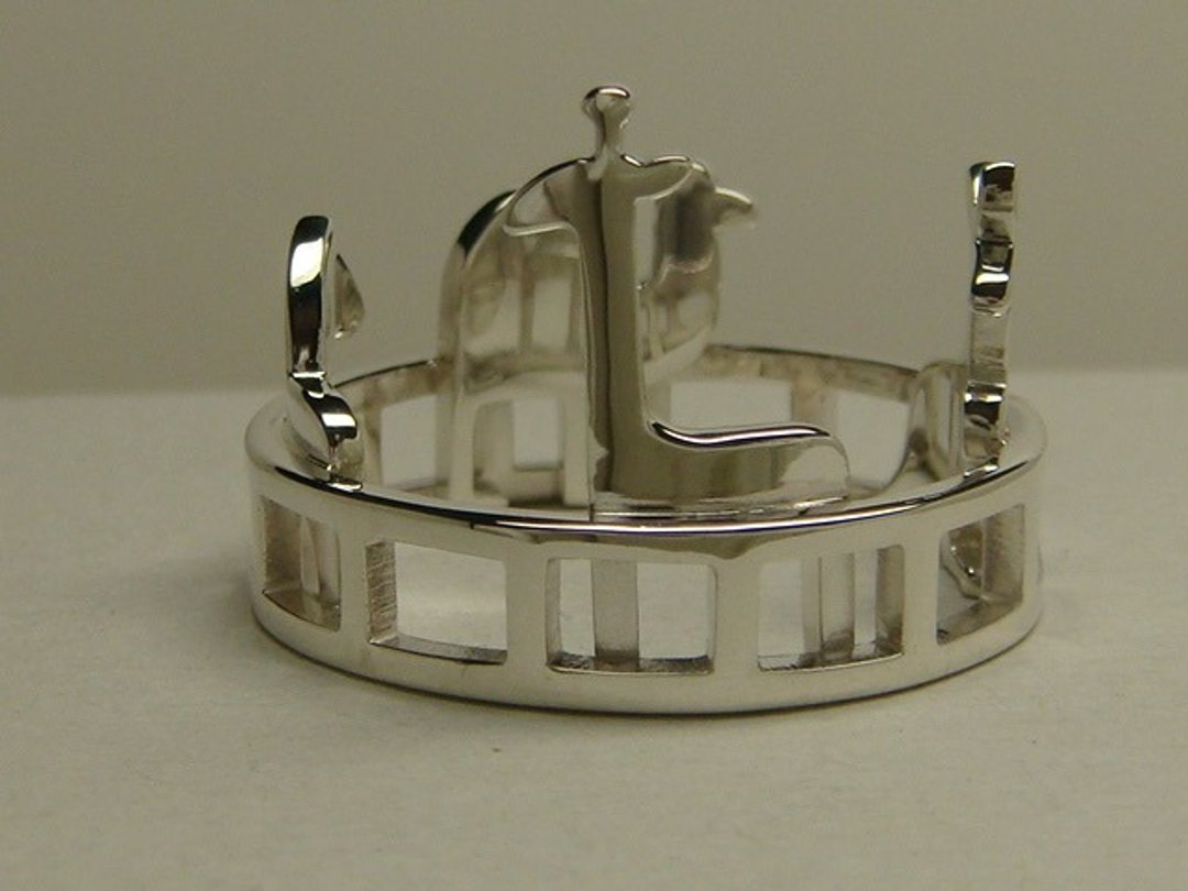 Zoo Ring - 戒指 - 其他金属 银色