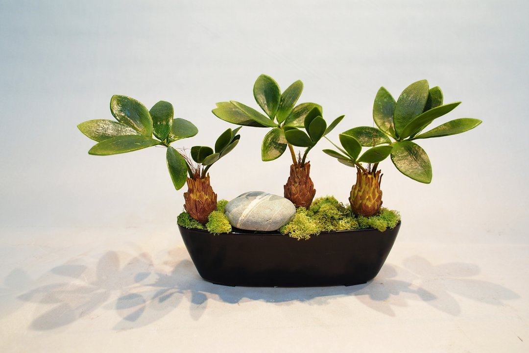 人造花饰-船型琵琶叶绿植 - 植栽/盆栽 - 其他材质 绿色