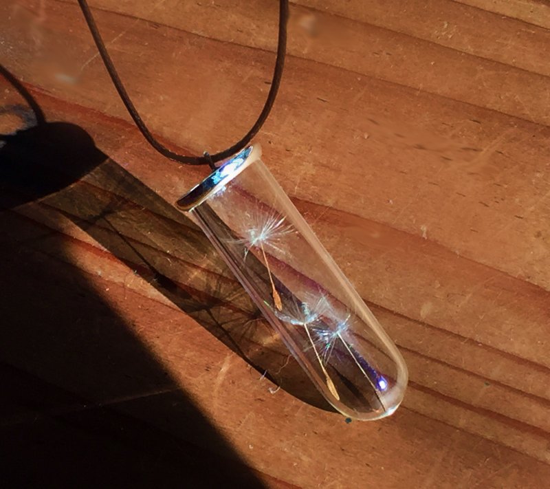 玻璃试管项链蒲公英-收藏季节系列 礼物 玻璃 手工 特别 情人节 - 项链 - 玻璃 白色