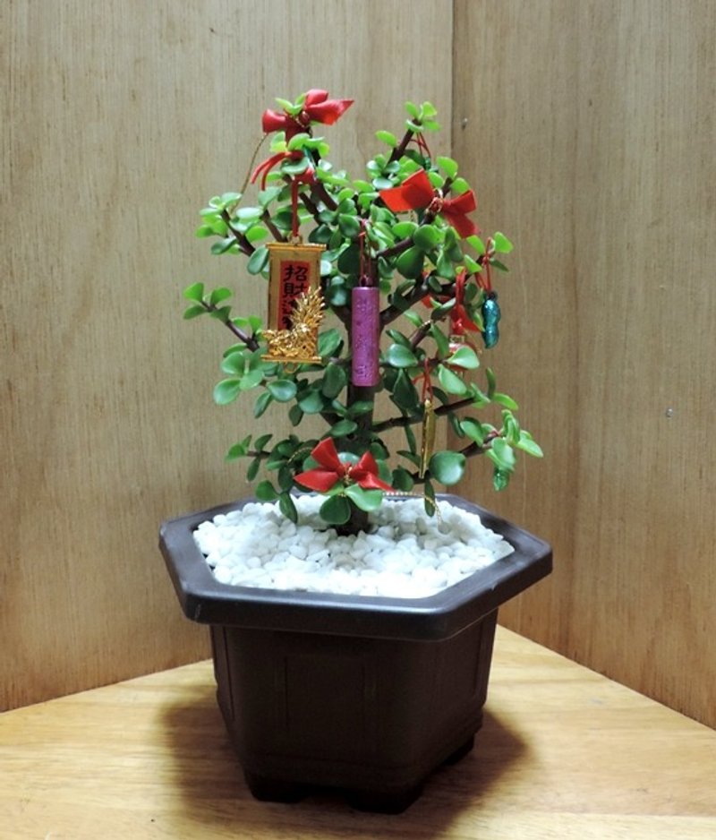 布置一棵发财树 · 喜气迎新年《招财进宝》 - 植栽/盆栽 - 植物．花 