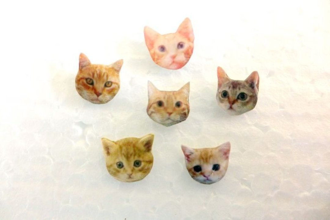 猫星人  穿洞式耳环 - 耳环/耳夹 - 其他材质 多色