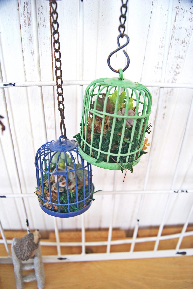 复古小鸟笼X超萌疗郁多肉盆栽(绿色) - 植栽/盆栽 - 植物．花 