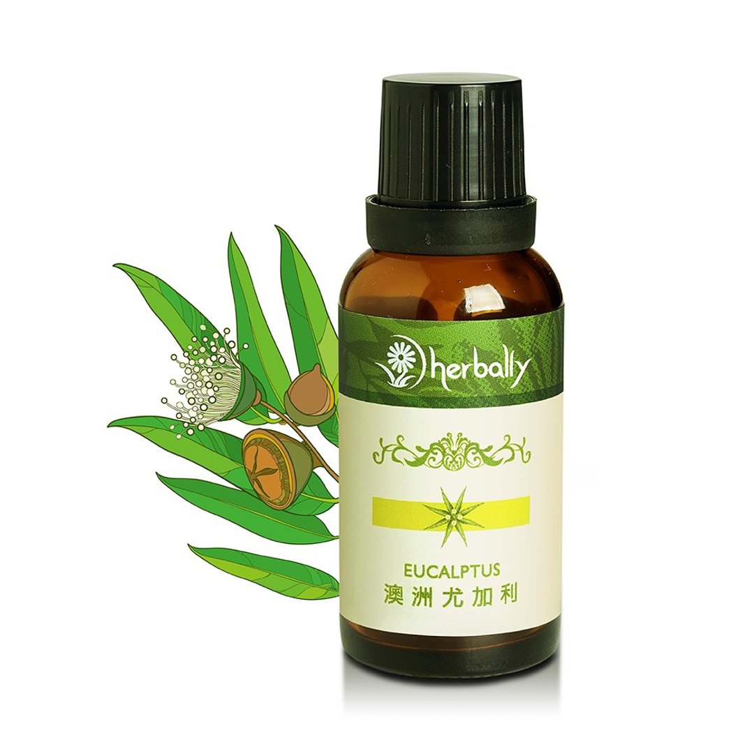 【草本真情】澳洲尤加利(单方精油30ml)(P3971938) - 香薰/精油/线香 - 其他材质 绿色