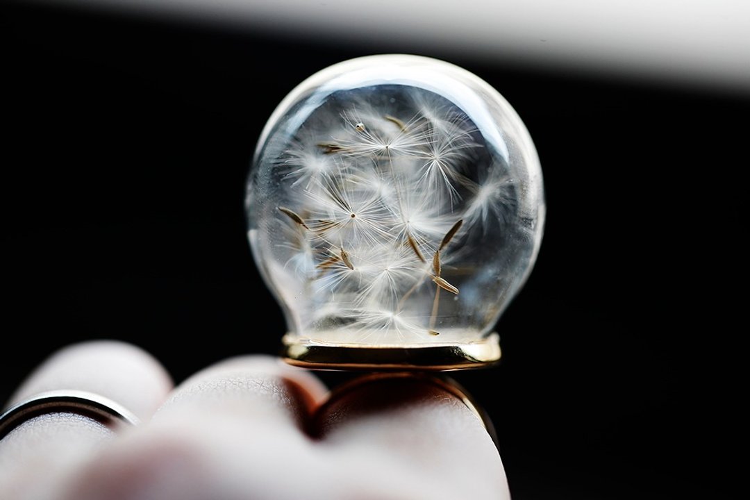 咪咪狗狗挤纸箱-蒲公英大气泡球镀金戒指 - 戒指 - 玻璃 金色