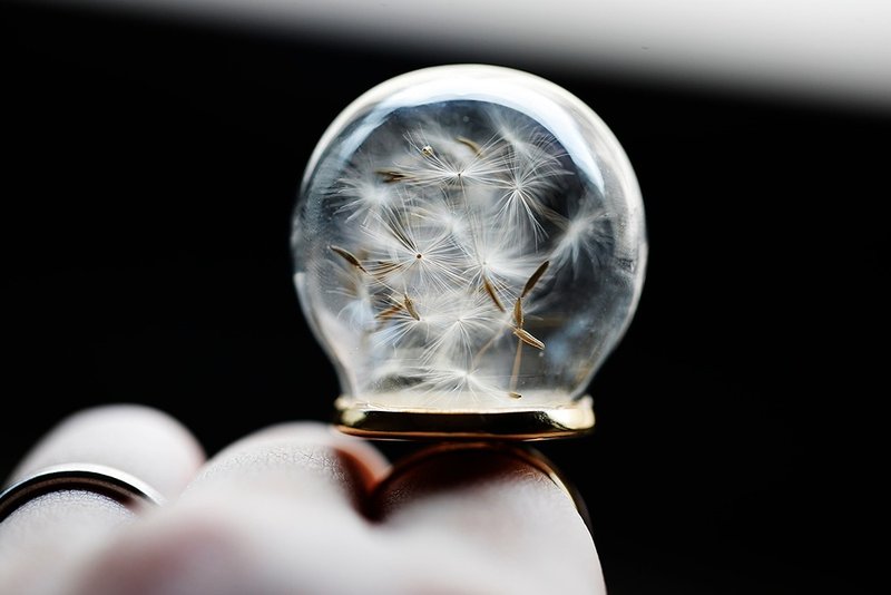 咪咪狗狗挤纸箱-蒲公英大气泡球镀金戒指 - 戒指 - 玻璃 金色