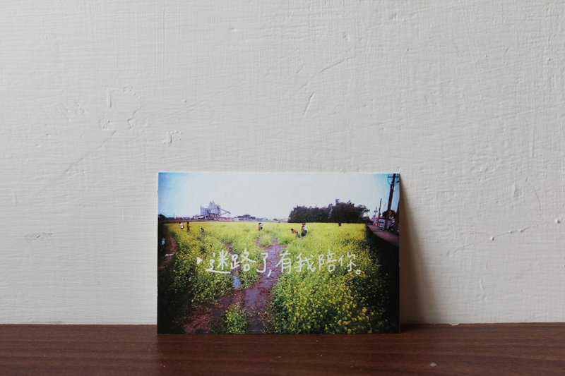 迷路了有我陪你 明信片 - 卡片/明信片 - 纸 绿色