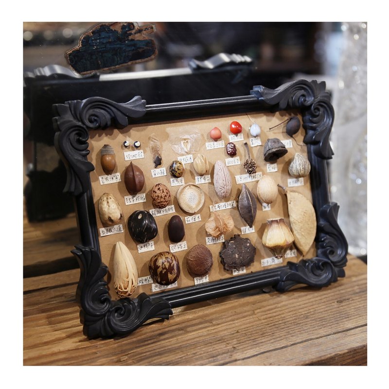 小弎品独家手作。种子艺术设计搭配复古古典四角浮雕饰边黑塑料框 - 墙贴/壁贴 - 其他材质 