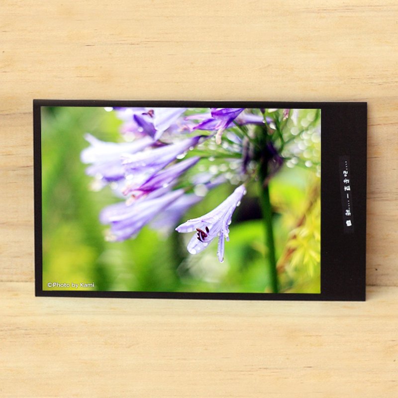 手工限量明信片-紫色的花3/台湾小物摄影 - 卡片/明信片 - 纸 多色