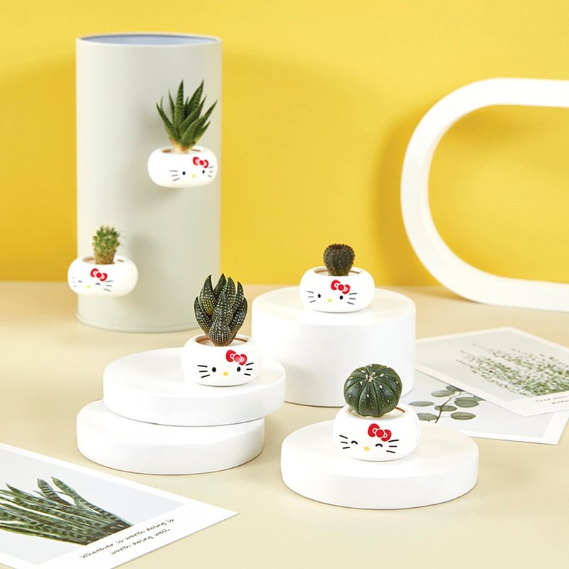 【办公磁铁】 Hello Kitty迷你磁铁盆栽 桌上盆栽/疗愈小物/植栽 - 植栽/盆栽 - 塑料 白色