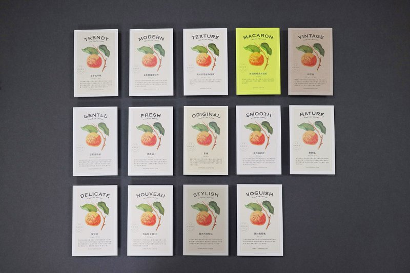 风格纸样品 一套14款 - 卡片/明信片 - 纸 多色