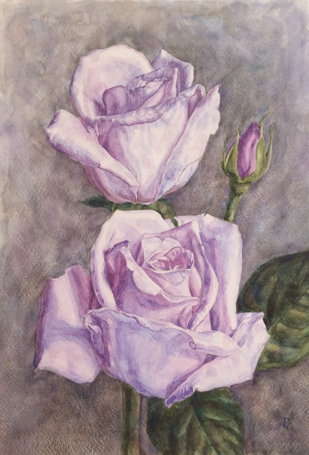 Violet roses - 墙贴/壁贴 - 纸 